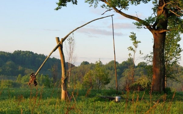 Оформление колодца своими руками - «Ландшафтный дизайн»