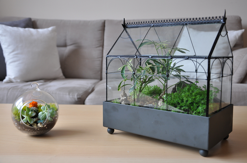 Флорариум своими руками - «Декор»