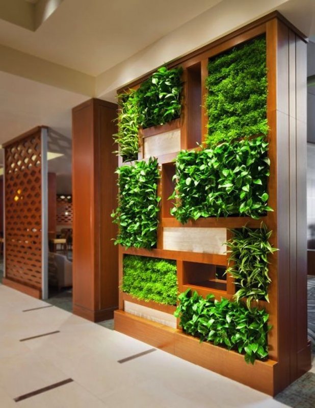 Конспект проекта; Идея зеленых комнат в ландшафтном дизайне.